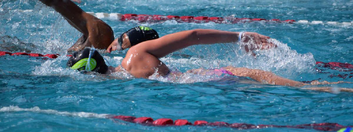 SwimPerf