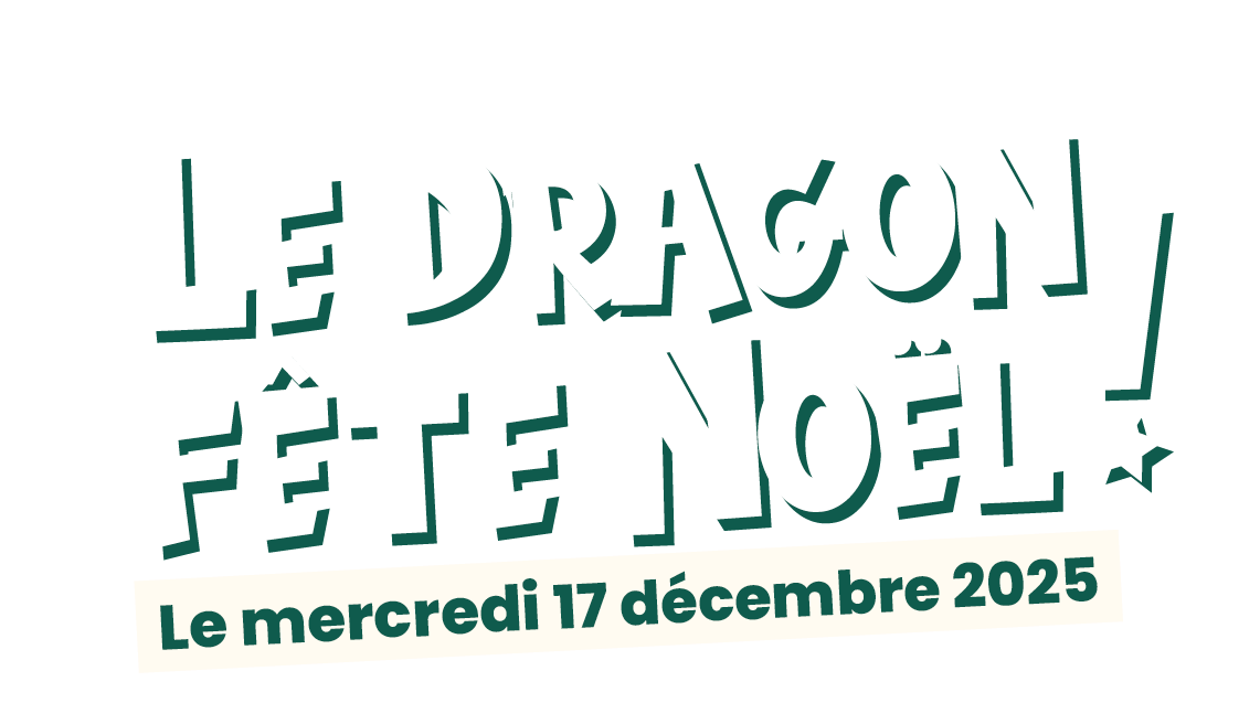 Le Dragon fête Noël Au Centre Aquatique